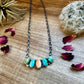 Mix Stones turquoise and spiny necklace