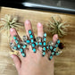 Blue cactus with flower with turquoise rings