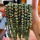 24 inch neckalce green turquoise, shell and Sterling Silver Pearls