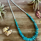 22 inch Graduated turquoise necklace and white shell