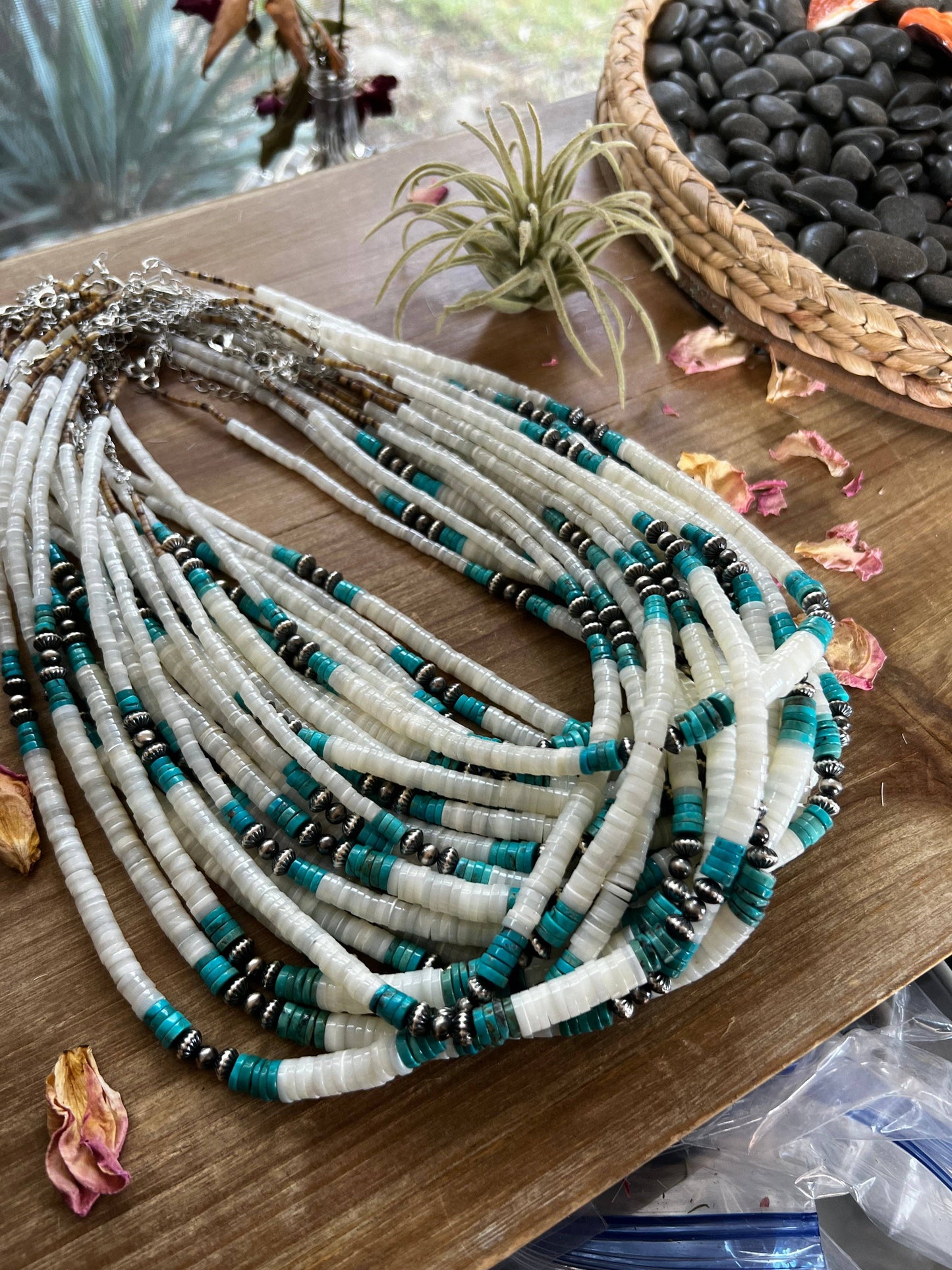 Graduated shell with Navajos turquoise or spiny: Spiny oyster